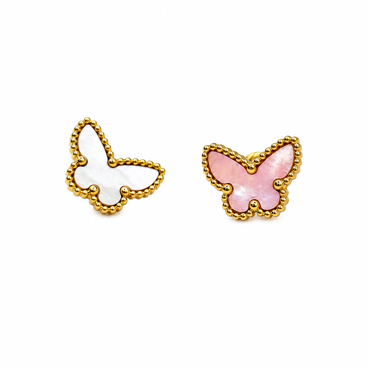 Rainbow Papillon